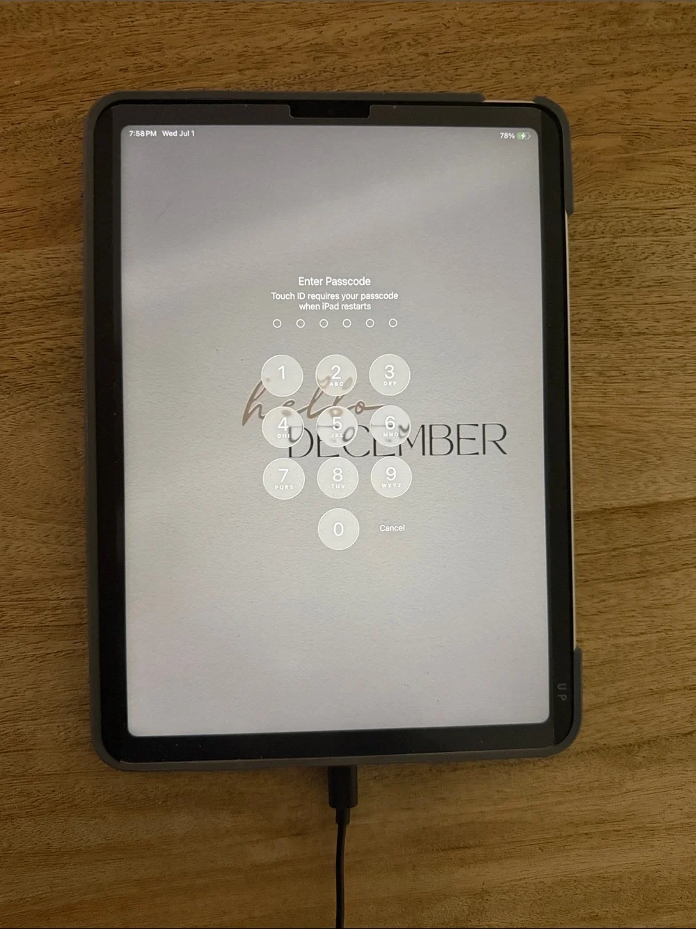 Apple Tablet Smart Cover Case in Dark Gray
